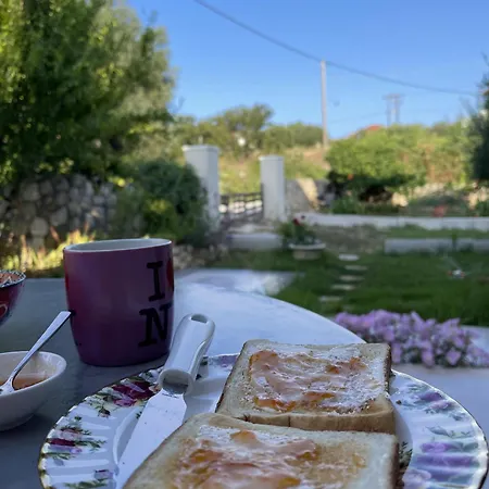 Viva S Casa vacanze